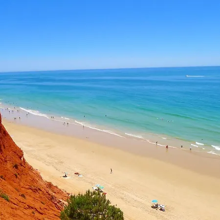 Vila Elegant In With Private Pool. Albufeira